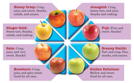 Best Apples For Apple Pie Chart