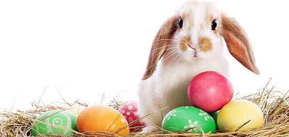 Easter Treats